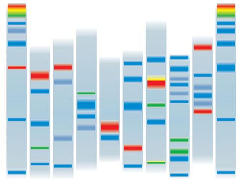 What are the advantages of Thin Layer Chromatography over Paper Chromatography?